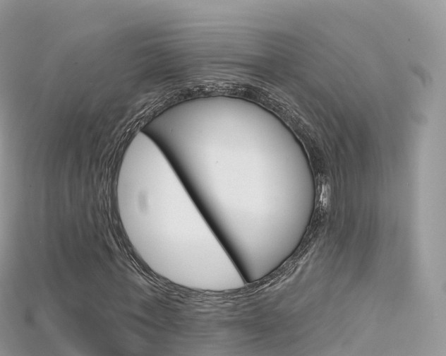 X0000115690771200911121007