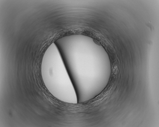 X0000115690772200911121007