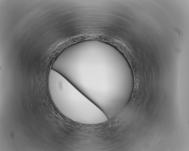 X0000115690773200911121007