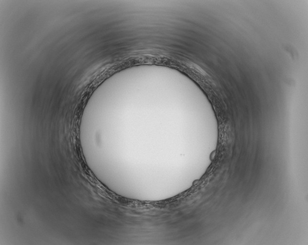 X0000115690774200911121007