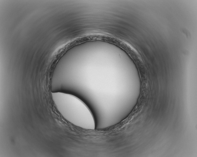 X0000115690775200911121007