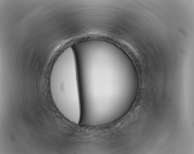 X0000115690776200911121007