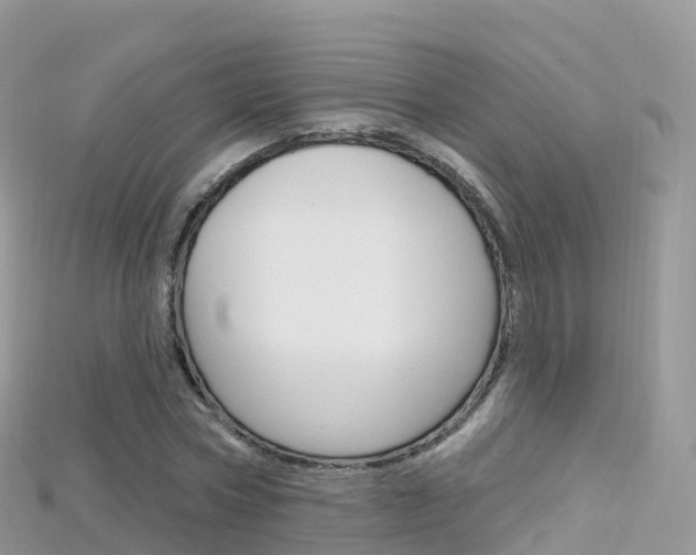 X0000115690778200911121007