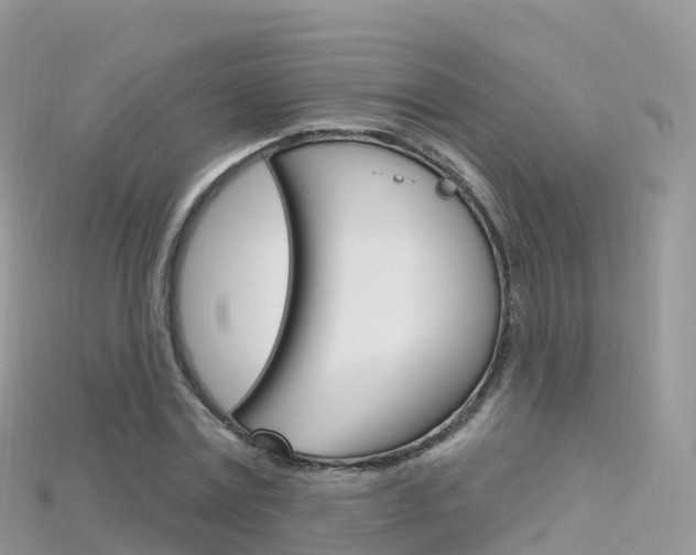 X0000115690779200911121007