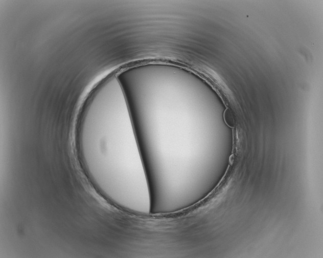 X0000115690780200911121007