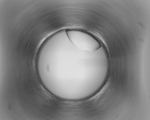 X0000115690781200911121007