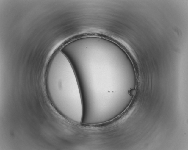 X0000115690783200911121007