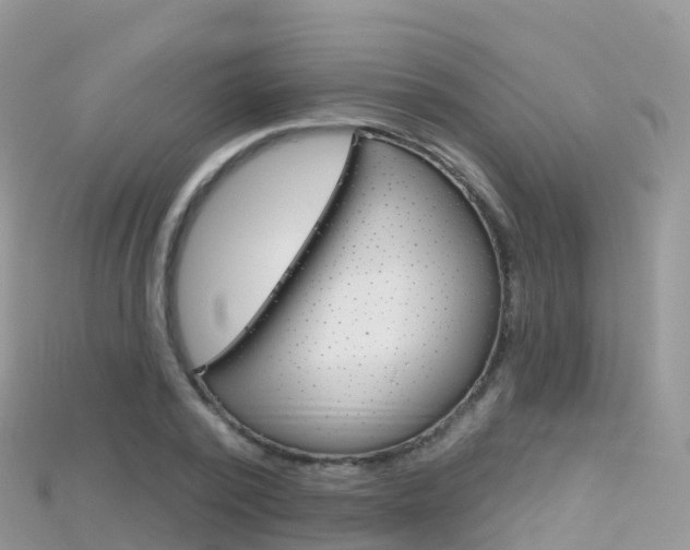 X0000115690784200911121007