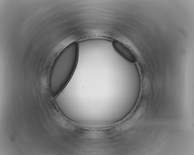 X0000115690785200911121006