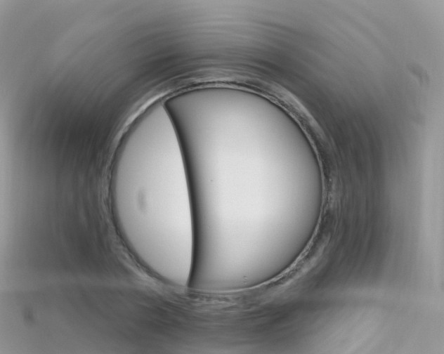 X0000115690786200911121006