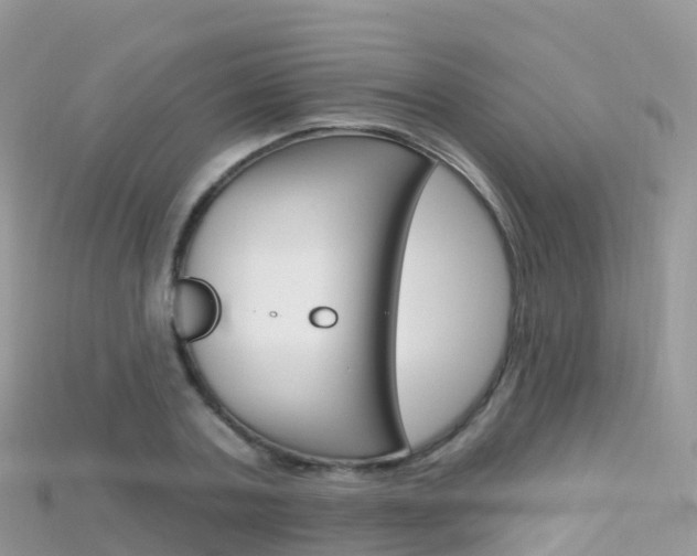 X0000115690787200911121006