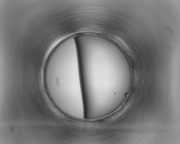 X0000115690788200911121006