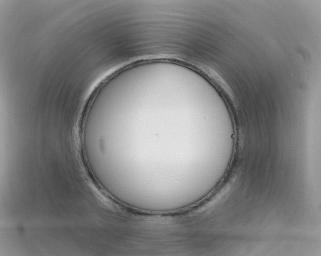 X0000115690789200911121006