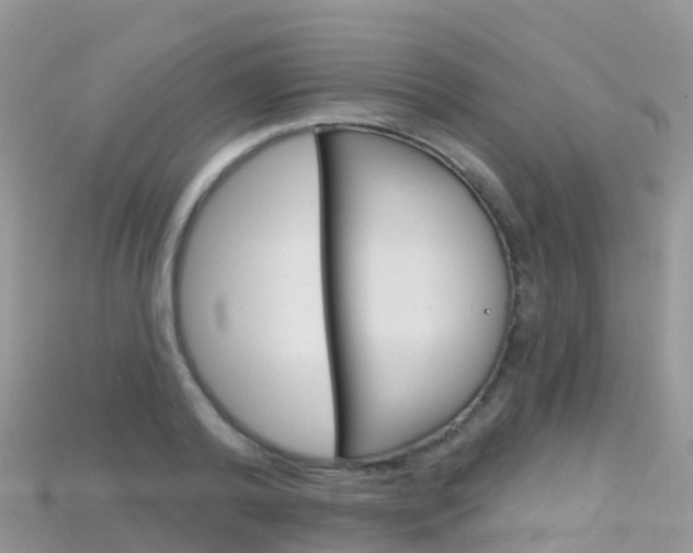 X0000115690792200911121006