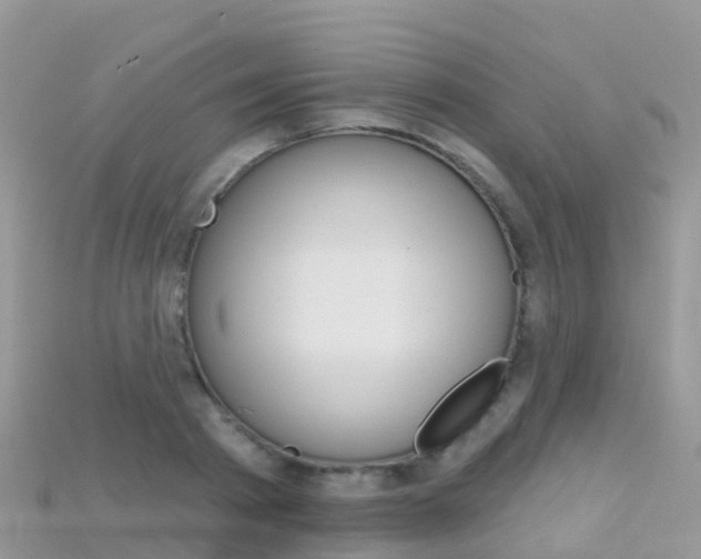 X0000115690793200911121006
