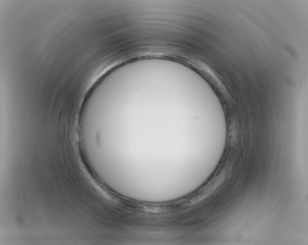 X0000115690794200911121006