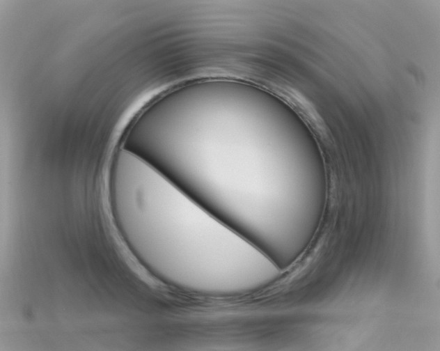 X0000115690796200911121006