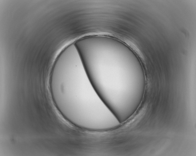 X0000115690797200911121006