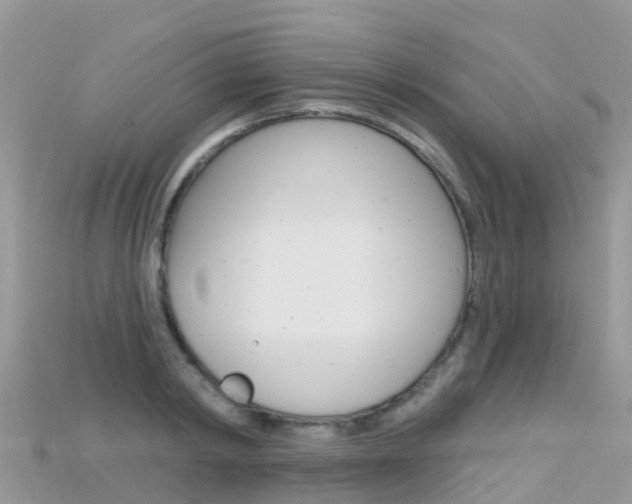 X0000115690798200911121006