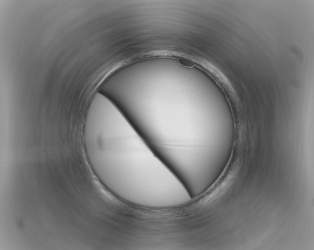 X0000115690801200911121006