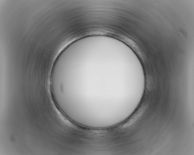 X0000115690802200911121006