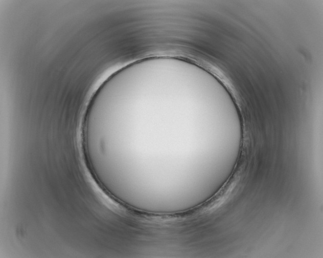X0000115690803200911121006