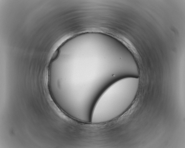X0000115690804200911121006