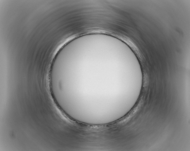 X0000115690806200911121006