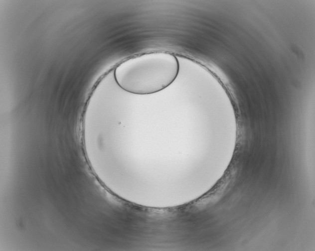 X0000115690807200911121006