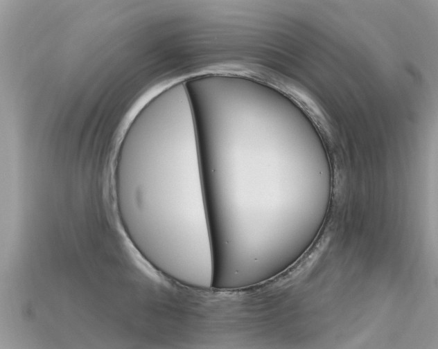 X0000115690808200911121006