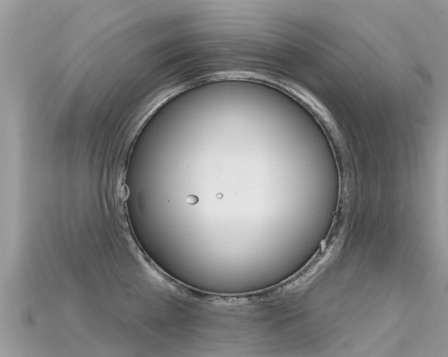 X0000115690809200911121006