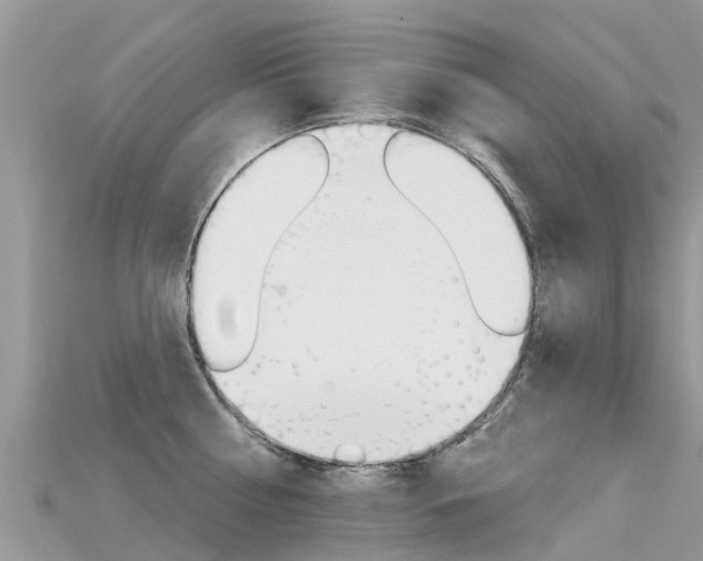 X0000115690810200911121006