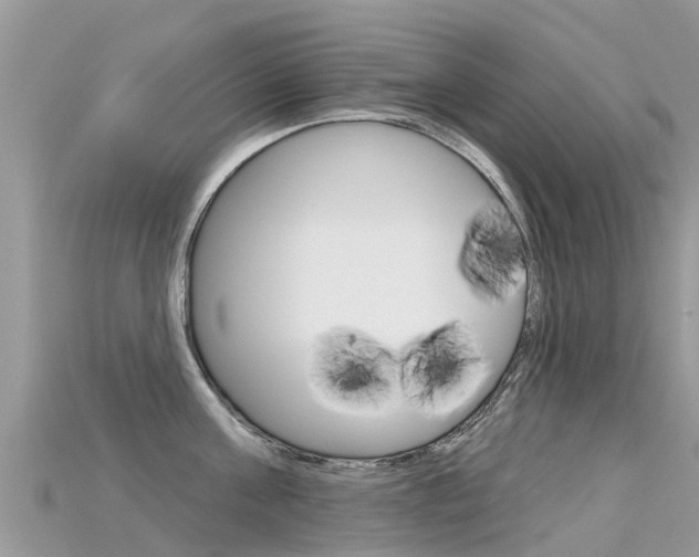 X0000115690811200911121006