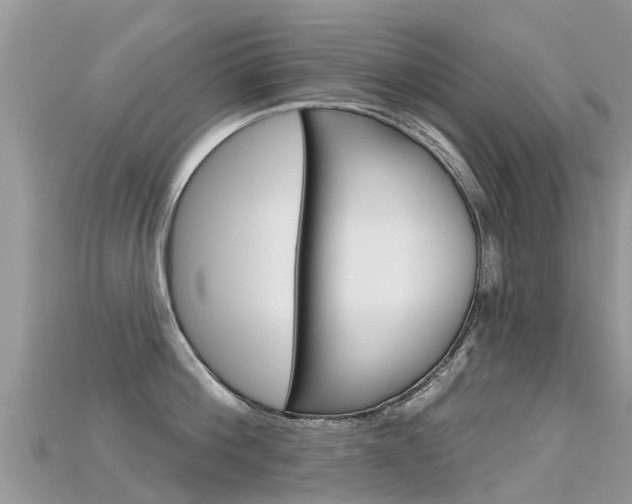X0000115690812200911121006