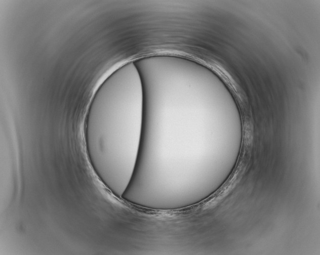 X0000115690814200911121006