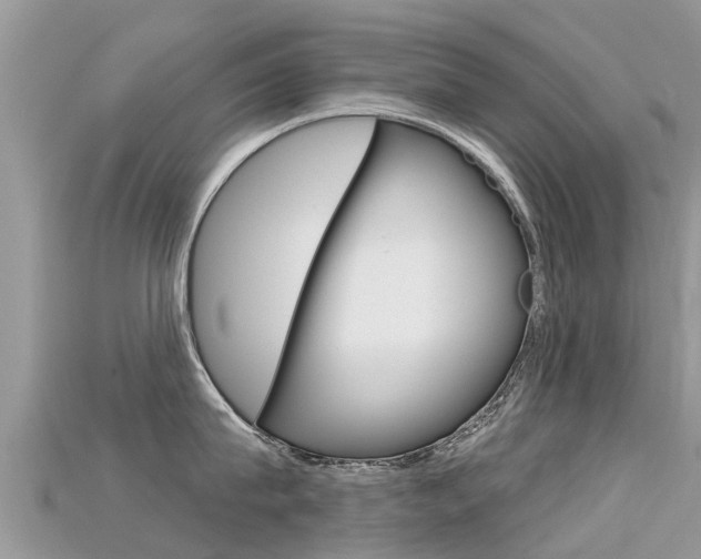 X0000115690815200911121006
