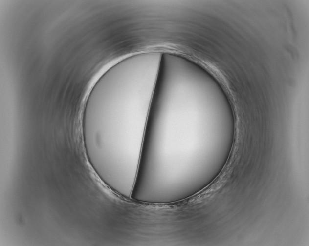 X0000115690816200911121006