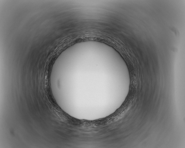 X0000115690818200911121005