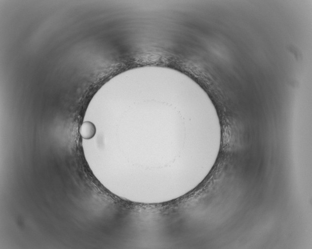 X0000115690820200911121006