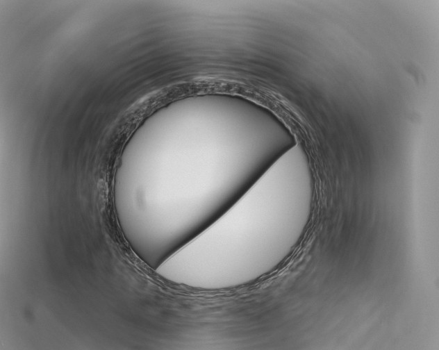 X0000115690821200911121006
