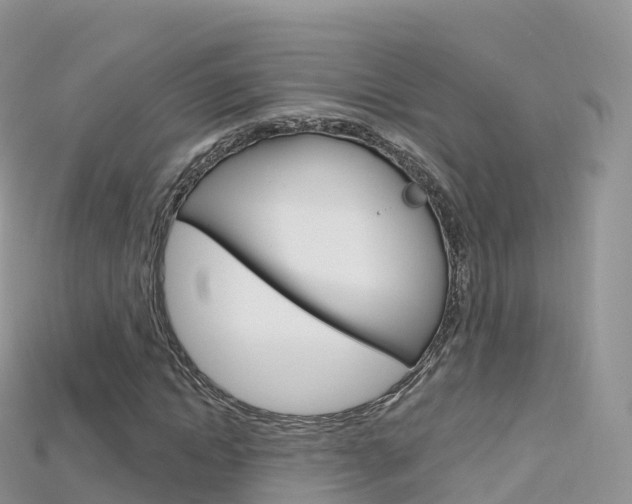X0000115690822200911121006