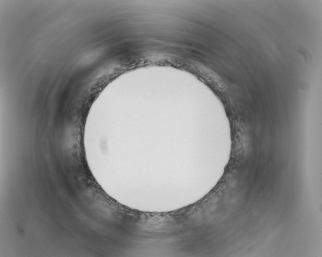 X0000115690824200911121006