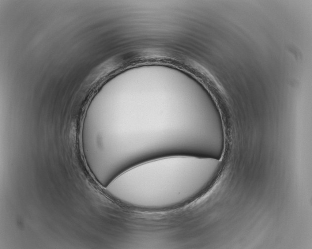 X0000115690825200911121006
