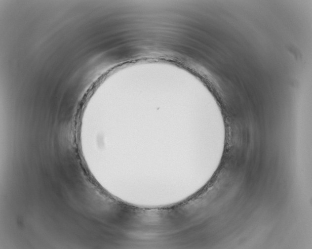 X0000115690828200911121006