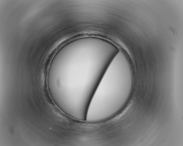 X0000115690829200911121006