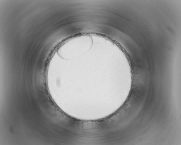 X0000115690832200911121006