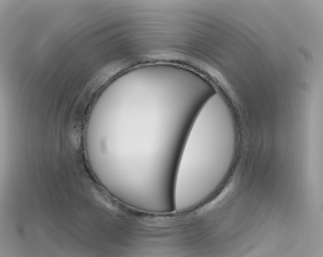 X0000115690833200911121006