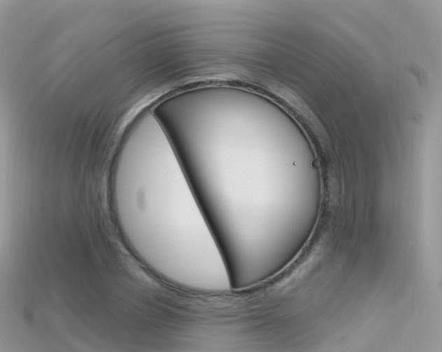 X0000115690834200911121006