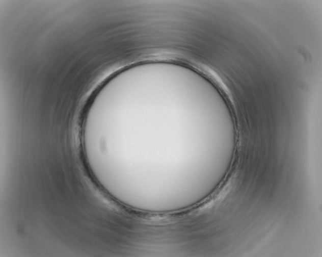 X0000115690835200911121006