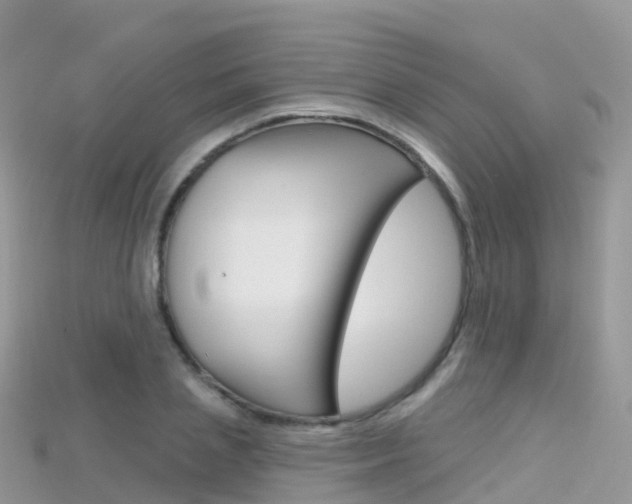 X0000115690837200911121006